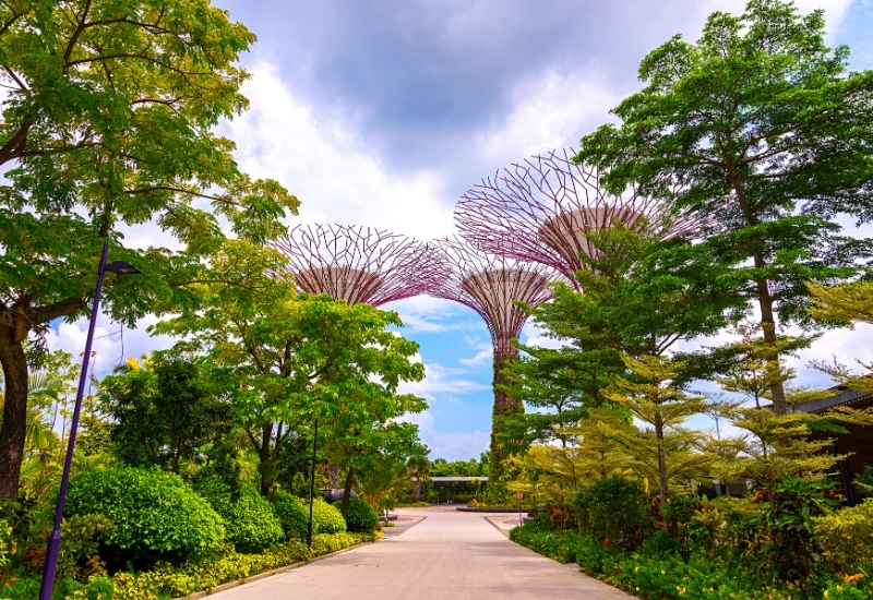 Walking path to Supertrees Grove