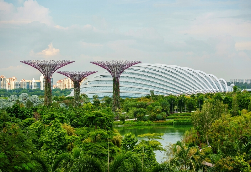 Singapore Gardens by the Bay, three Supertrees and the flower dome