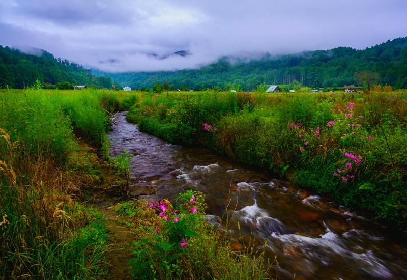 Ziro, Arunachal Pradesh